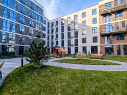 ��������� �������� ��������, �������, ����, �������� ���� 11