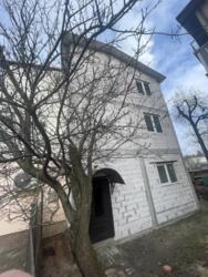 ��������� �������� ������� ����� ���., 37, ����, ��������, ����������� ���� 2