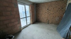 ��������� �������� ����, ��������, ����������� ���� 9