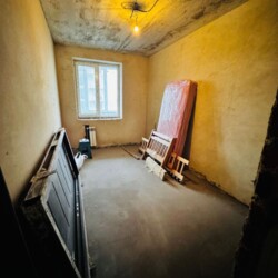 ��������� �������� ����, ��������, ������������� ���� 7