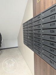 ��������� �������� �������������, 4�, ����, ��������, ���������� ���� 19