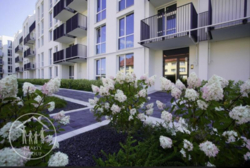 ��������� �������� ���������, ����, �������� ���� 1