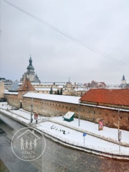 ��������� �������� ���������� ���., 10, ����, �������� ���� 14