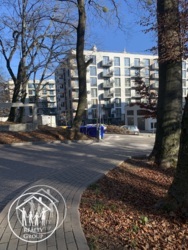 ��������� �������� ����, �������, ����, �������� ���� 11