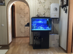 Продається квартира Львівська, Львів, Шевченківський, Плугова, 5 фото 11 Продається квартира Львівська, Львів, Шевченківський, Плугова, 5 фото 11