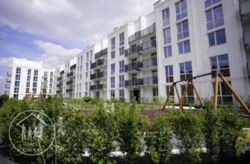 ��������� �������� ���������, ����, �������� ���� 4