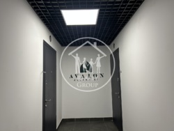 Avalon Zelena ���� �������� �������� � ���������! ���� 9