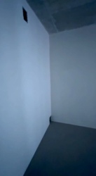   , , ,  .  3
