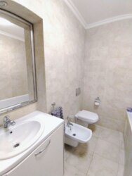 ��������� �������� ������� �����, ����, ��������, ����������� ���� 19