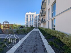 ��������� �������� ����� ����, ���������, ����, �������� ���� 8