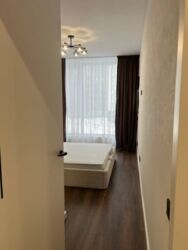 ��������� �������� ������������, ����, ��������, ����������� ���� 19