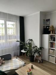 ��������� �������� ����� ����, 1, ���������, ����, �������� ���� 3