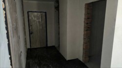 ��������� �������� ����, ��������, ����������� ���� 15