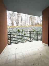 ��������� �������� ��������, ����, ��������, ������������� ���� 13