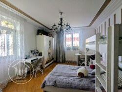 ��������� �������� �������, 50�, �������, ����, �������� ���� 11