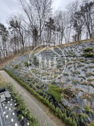 ��������� �������� ��������, ����, ��������, ������������� ���� 10