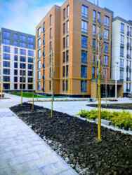 ��������� �������� ����� �������, 13, ���������, ����, �������� ���� 5