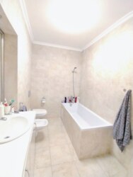 ��������� �������� ������� �����, ����, ��������, ����������� ���� 18