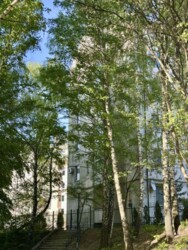 ��������� �������� ����, ��������, ��������� ���� 21