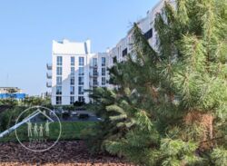 ��������� �������� ����� ����, ���������, ����, �������� ���� 13