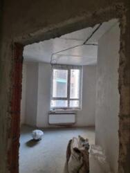 ��������� �������� ��������, 28, ����, ��������, ����������� ���� 8