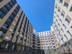 ��������� �������� ����� �������, 13, ���������, ��������������, �������� ���� 12