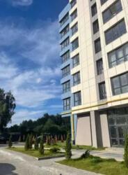 ��������� �������� ���������, ����, �������� ���� 4