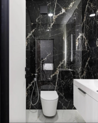 ��������� �������� ���������� �������� ���., ����, ��������, ����������� ���� 17