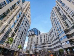 ��������� �������� ����� ���, 73�, ����, ��������, ����������� ���� 19