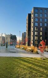 ��������� �������� ����� �������, 13, ���������, ����, �������� ���� 1