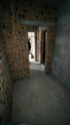 ��������� �������� ����, ��������, ����������� ���� 11