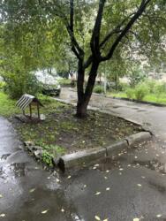 ��������� �������� �������, 8 �, ����, ��������, ���������� ���� 3