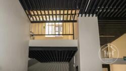 ��������� �������� �������������, 207, ����, ��������, ������������� ���� 13