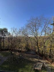 ��������� �������� ������, ����, ��������, ����������� ���� 15