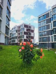 ��������� �������� ������� ���������, ���������, ��������������, �������� ���� 12