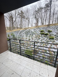 ��������� �������� ��������, ����, ��������, ������������� ���� 12