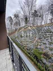 ��������� �������� ��������, ����, ��������, ������������� ���� 11