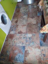 ��������� �������� ���������� ��������, ����, ��������, ����������� ���� 8