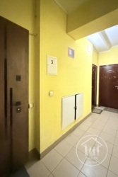 ��������� �������� ���������, ����, ��������, ���������� ���� 19