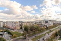 ��������� �������� ��������� �����., ����, �������� ���� 19