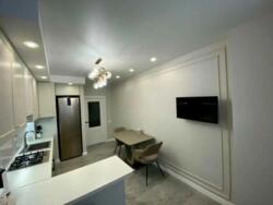 ��������� �������� ���������������, ����, ��������, ������������� ���� 6