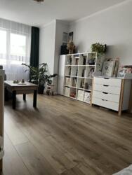 ��������� �������� ����� ����, 1, ���������, ����, �������� ���� 2