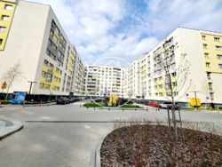 ��������� �������� ����� ����, 4, ���������, ����, �������� ���� 11