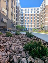 ��������� �������� ����� �������, 13, ���������, ��������������, �������� ���� 11