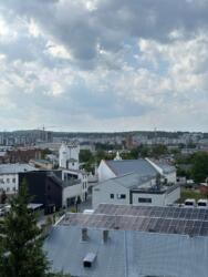 ��������� �������� �������������, ����, �������� ���� 8