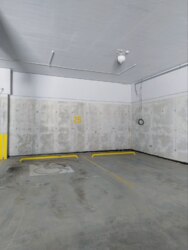 ��������� �������� ��������, ����, ��������, ������������� ���� 25