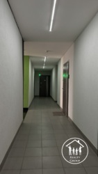   , , ,    31