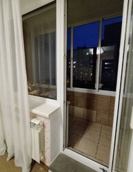 ��������� �������� ������������, 12, ����, ��������, ���������� ���� 15