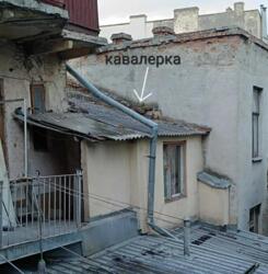 ��������� �������� ���������, 34, ����, ��������, ������������� ���� 12