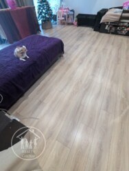 ��������� �������� ��������� �������, ���������, ����, �������� ���� 19